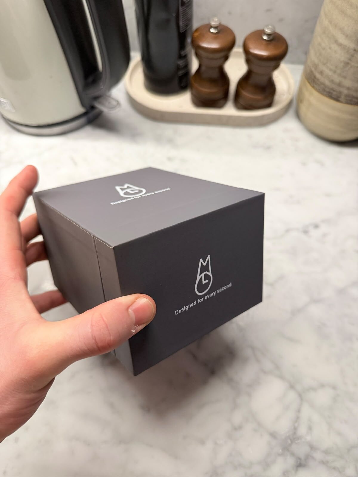A hand holding the Montre box